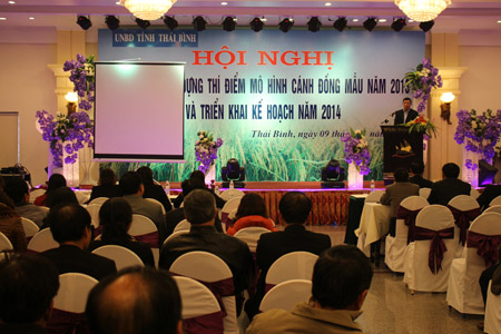 Triển khai kế hoạch x&acirc;y dựng c&aacute;nh đồng mẫu năm 2014